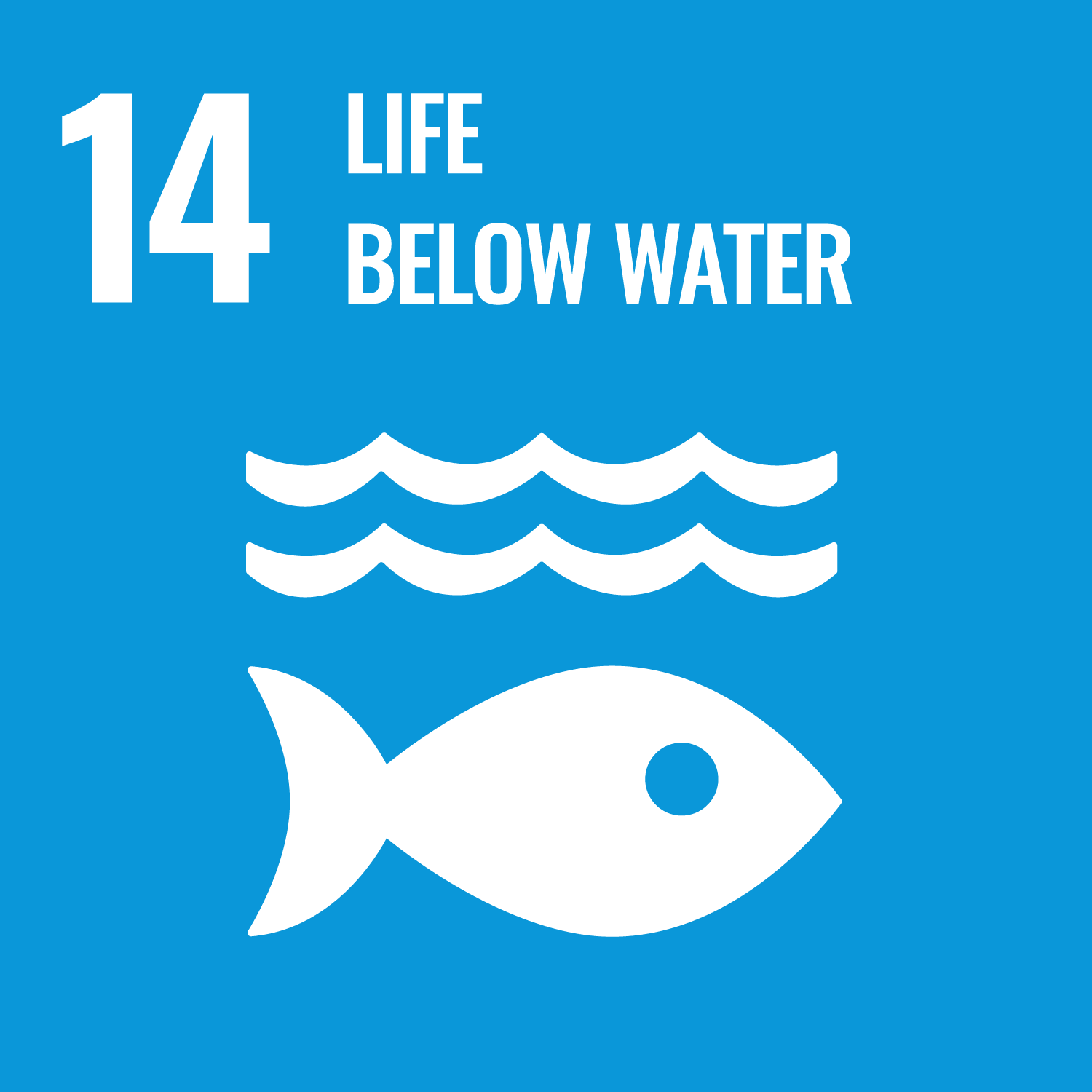 Sustainable Development Goals (SDG14) Life Below Water